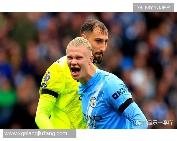 哈兰德：对多纳鲁马只要赞许之词；来意大利踢球？还没考虑过